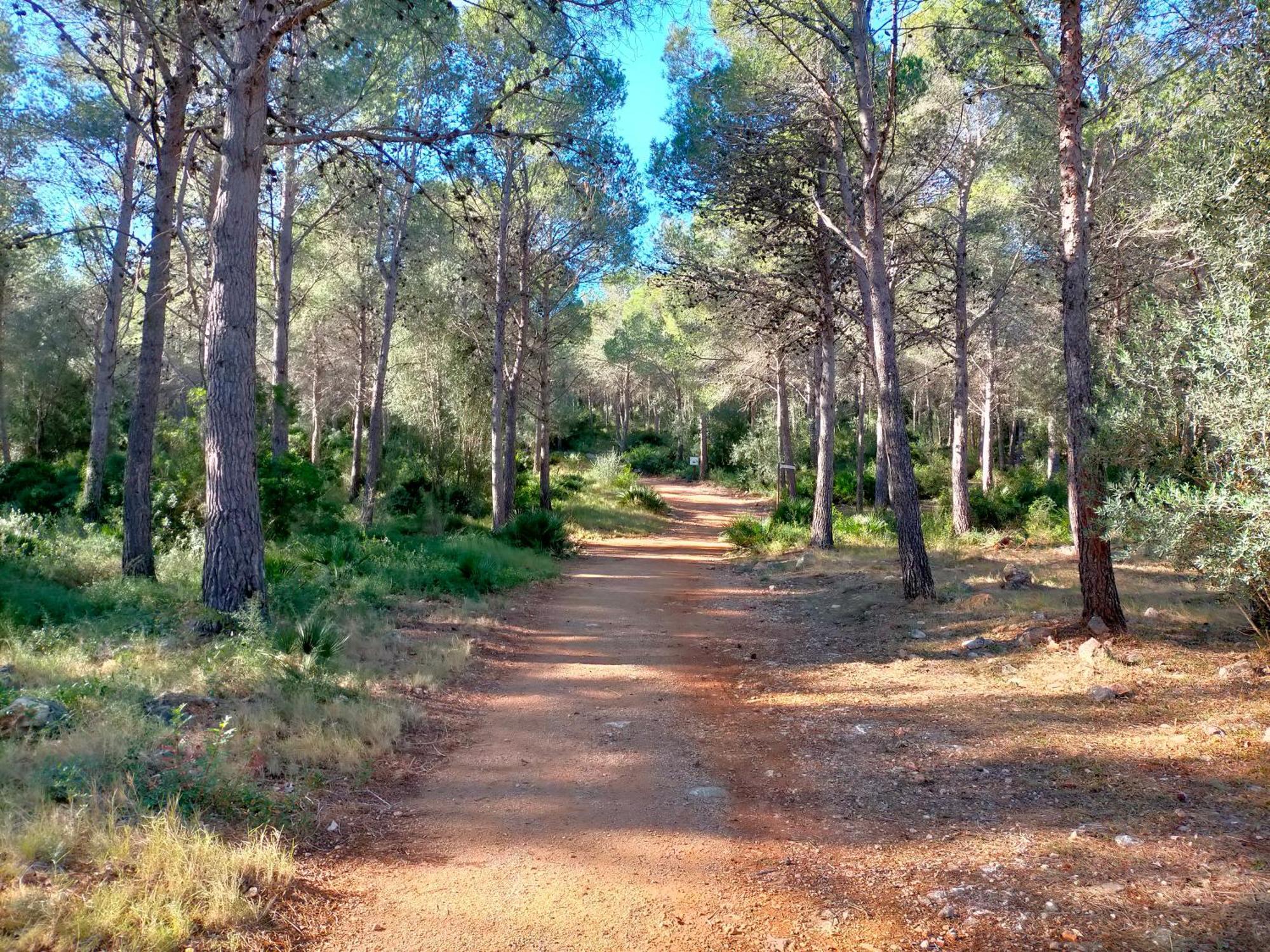 Amborget Βίλα San Jorge  Εξωτερικό φωτογραφία