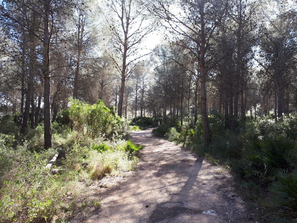Amborget Βίλα San Jorge  Εξωτερικό φωτογραφία